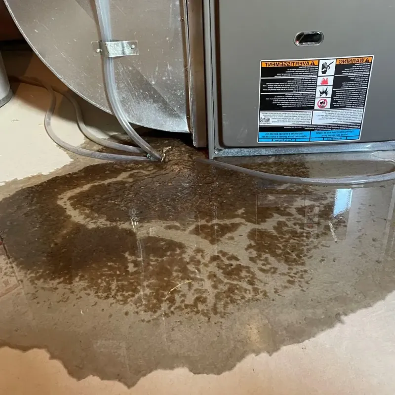 Pipe Burst and Leak Restoration in Lyon County, NV
