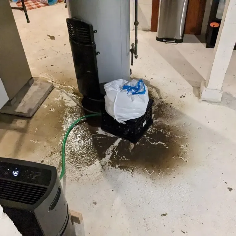 Sewage Backup Cleanup Service in Lyon County, NV